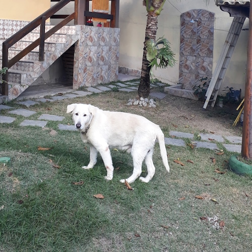 Visit adalb_3425's profile on GETTR. View their posts, photos, videos, and connect with them on the social platform.