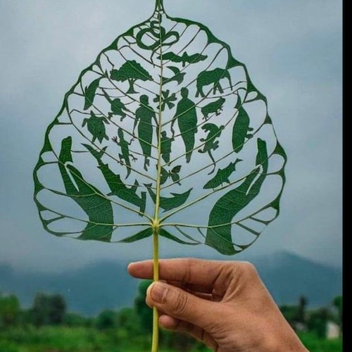 與中共沒有任何談判餘地，消滅中國共產黨是人類唯一選擇✊✊✊