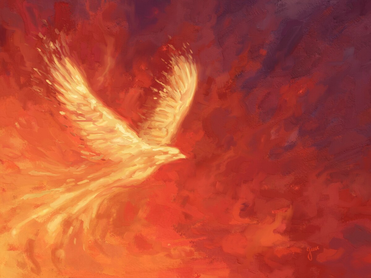 Sunday Reflection 

“All who are led by the Spirit of God are children of God.” [Rm 8:14]

Certainly...