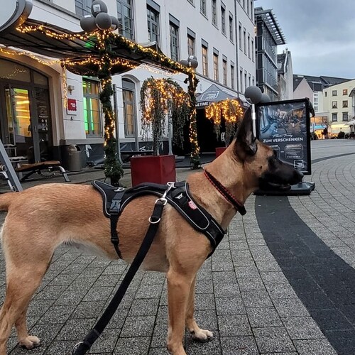 Visit Alex123_2048's profile on GETTR. View their posts, photos, videos, and connect with them on the social platform.