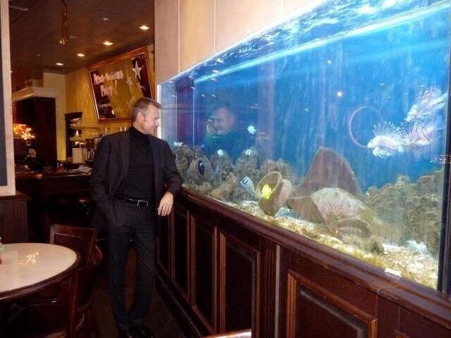 The aquarium is beautiful with the view of fish 