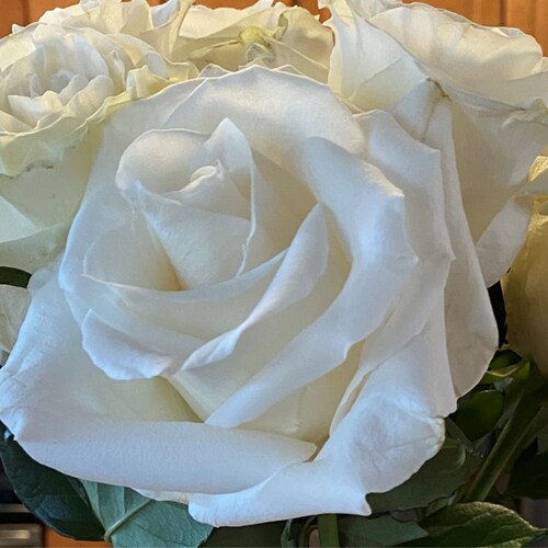 Southern,independent,mom,Nana,executive. American Citizen by luck of birth. Not guilty about that,either! Ex-neverTrumpe...