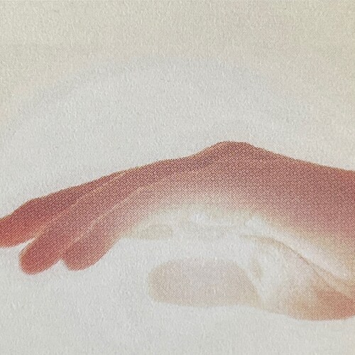 Get ready for the most "#spiteful set of #executiveorders, #legislative actions and #electionfraud c...