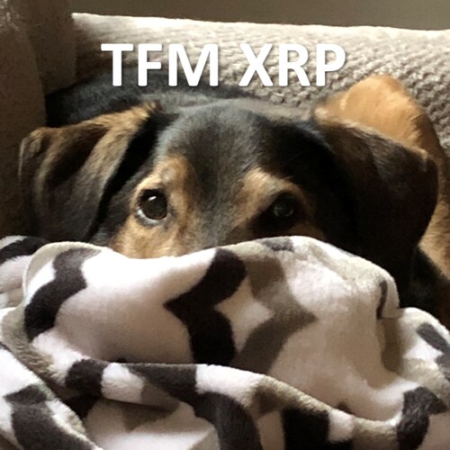 I picked one hell of a time to stop drinking...