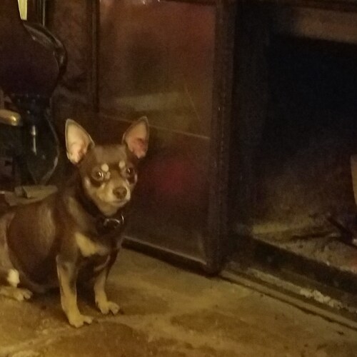 1st and 2nd amendment, God,family very important AMERICA FIRST ALWAYS 🇺🇲🇺🇲🇺🇲🇺🇲🇺🇲🇺🇲🇺🇲🇺🇲 BIG GOVERNMENT EN...