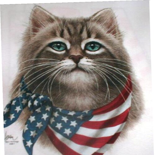 Jesus Follower. Wife, Mom, Grammi, sister, Patriot, Army Veteran. Constitutionalist. Truth,Love,Peace,Freedom!  ❤️ 🇺🇸 ...