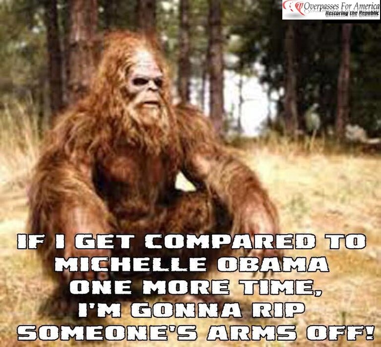 What's the biggest differences between Bigfoot and Michelle #Obama?
The Bigfoot has less hair and smells better.
#repost
