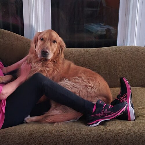 Mom. Wife. Vet. Nurse. Researcher. Realist. Logic is knowledge. Pronoun identification = mental illness.