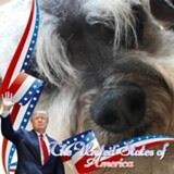 WWG1WGA .. Native Dallasite .. Twat banned me, FB killed my main page (tho I've managed 3 'sisters').  
I wear all as a ...