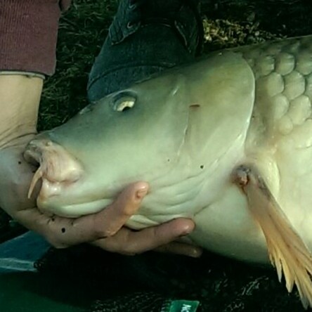 Visit takerspurs's profile on GETTR. View their posts, photos, videos, and connect with them on the social platform.