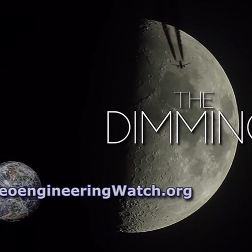 Conservative Patriot