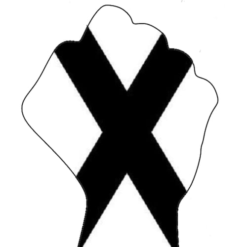 We believe that secession and Southern independence are the keys to our survival as a people in the 21st century & beyond. Without our independence from the forces that openly call for and seek our destruction, the Southern people will be subsumed by a non-White majority in America. We and our progeny will become a hated minority with no rights to life, liberty, and property. Our lives will be forfeit.