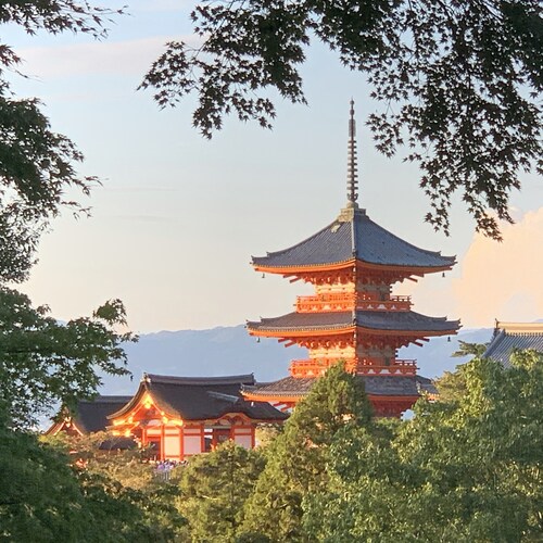 战斗在Take down the CCP的洪流中