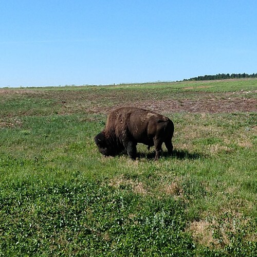 Just a random stranger on the internet