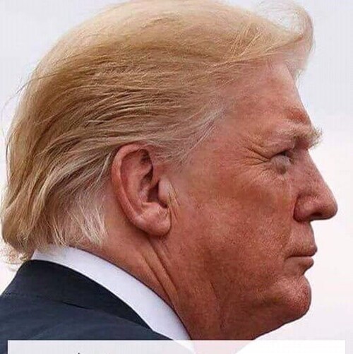 Donald Trump is the best president this country has ever had! #maga #wemissyou #patriots #usa #trump2021 #letsgobrandon