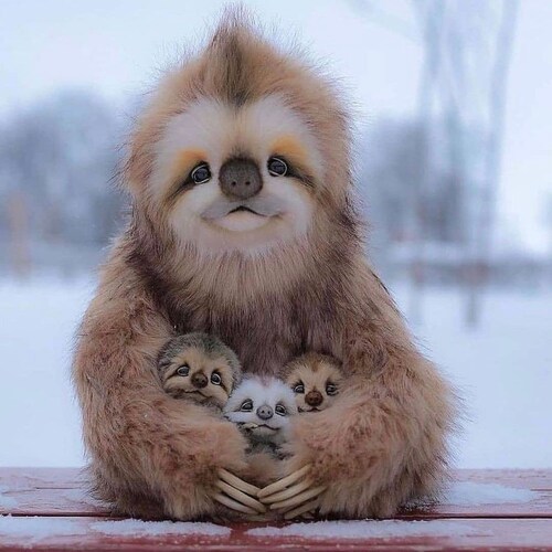 LA transplant enjoying the good life in the Pacific Northwest