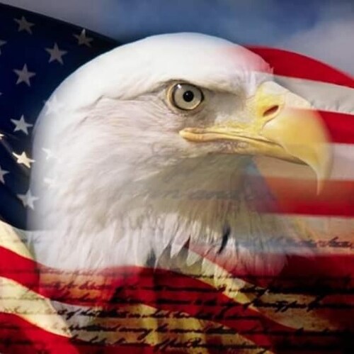 Believer in Jesus Christ; Constitutional Conservative; Pro-1A; Pro-2A; Pro-Donald J. Trump; Pro-Life; Pro-Family; Anti-S...