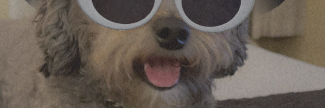 FlokieMo
