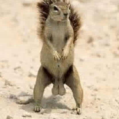 Red, White and Blue through and through. Don't like it leave it.