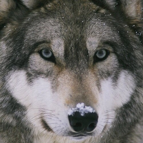 Visit Crusty_Demons's profile on GETTR. View their posts, photos, videos, and connect with them on the social platform.