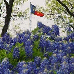 Proud Wife, Mother and Mimi.   Conservative woman who believes in strong families and limited government.