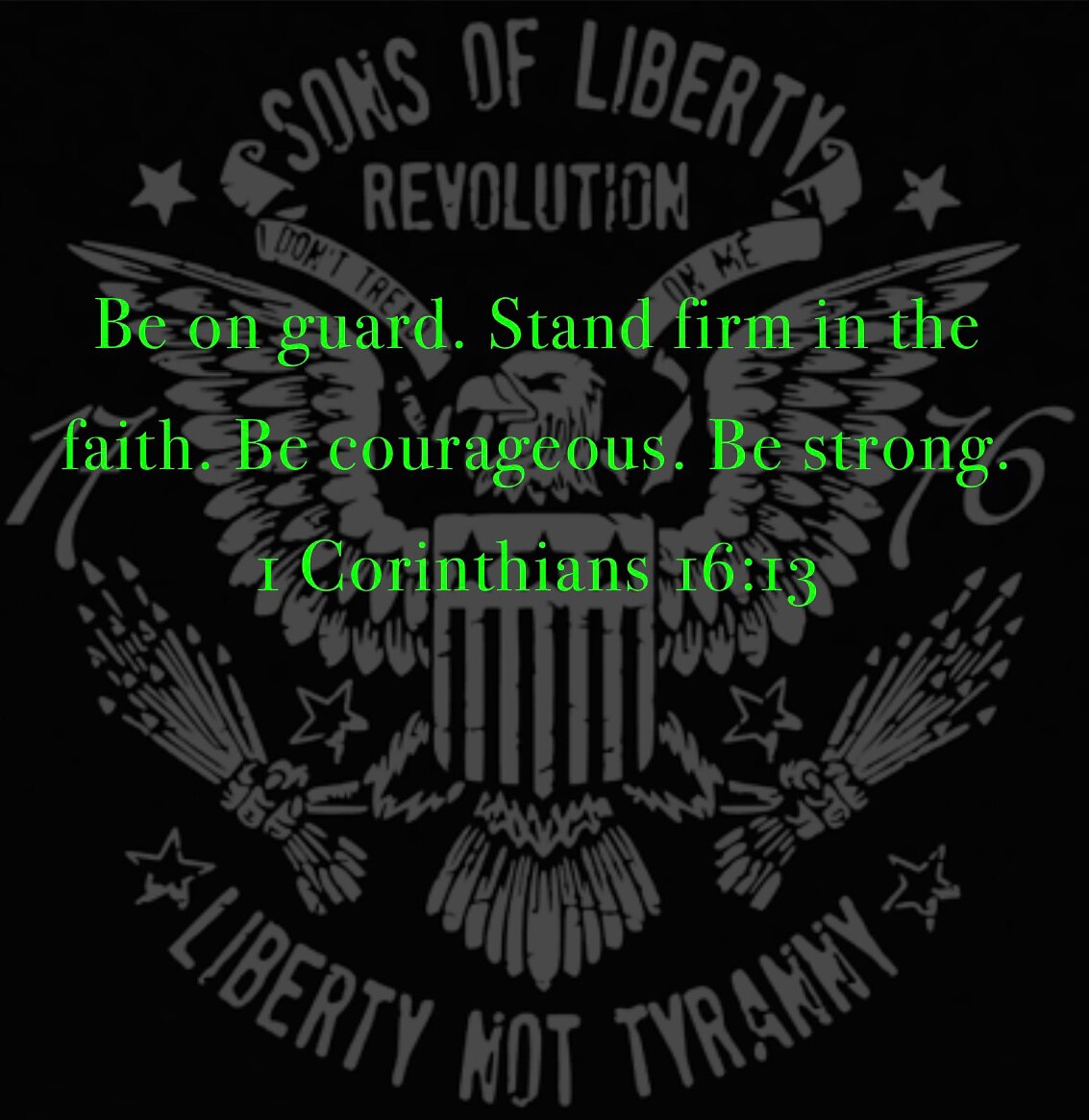 Good morning patriots. Put on the full Armor of GOD and do something great today! 