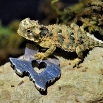 Visit SisC1's profile on GETTR. View their posts, photos, videos, and connect with them on the social platform.