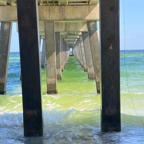 Old school, hard working family MAN/GRANDPA. MAGA for ever. You can have my guns when you pry them from my cold dead fin...