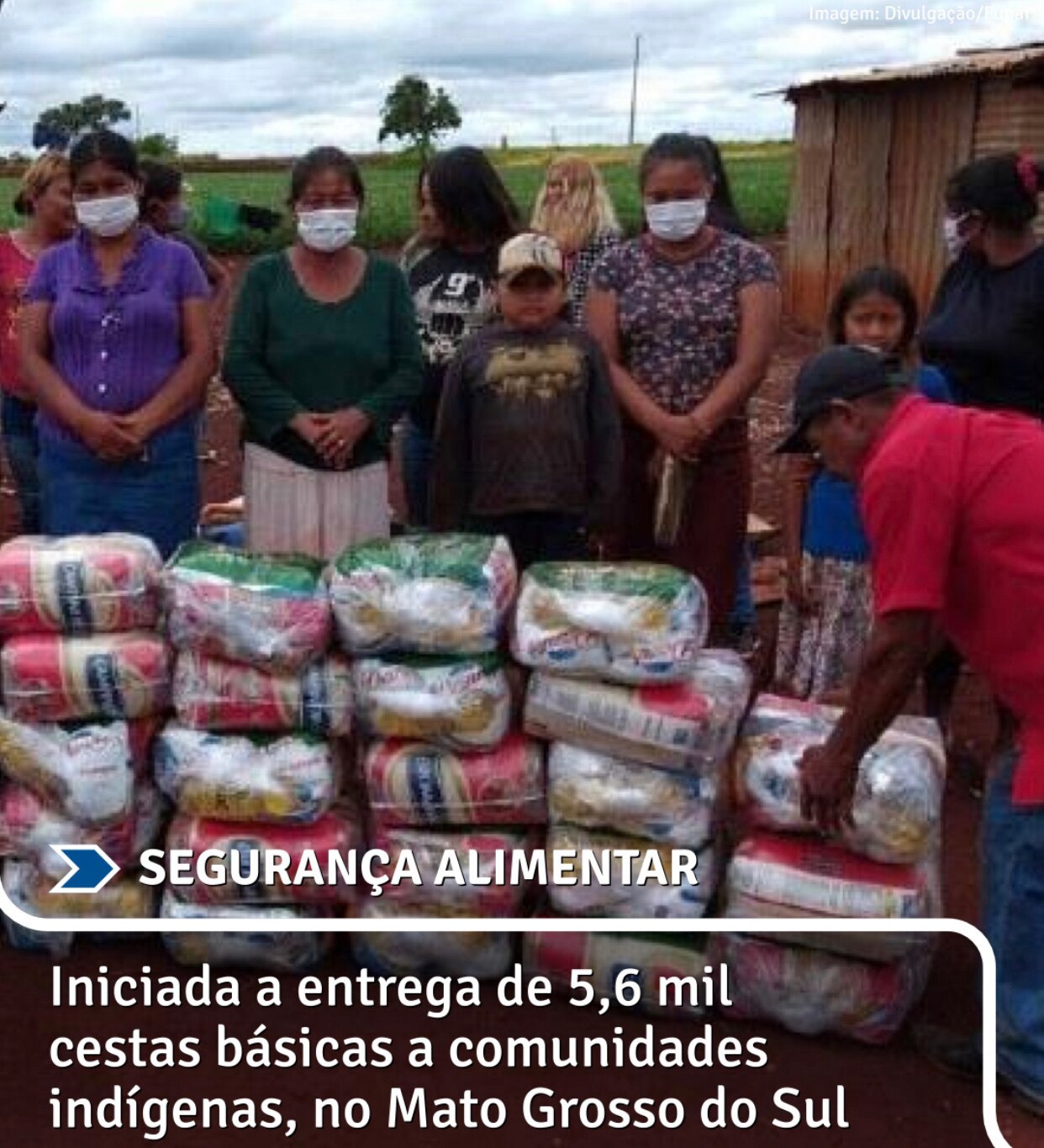 MATO GROSSO DO SUL: Aproximadamente mais  2,6 mil famílias foram alcançadas na mais recente fase de distribuição. Cerca de 50 comunidades indígenas serão contempladas.

Funai / Ministério da Mulher, Família e Direitos Humanos