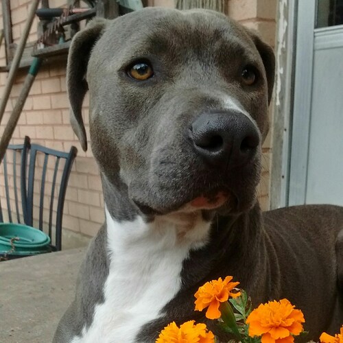 Visit I used to not like Trump's profile on GETTR. View their posts, photos, videos, and connect with them on the social platform.