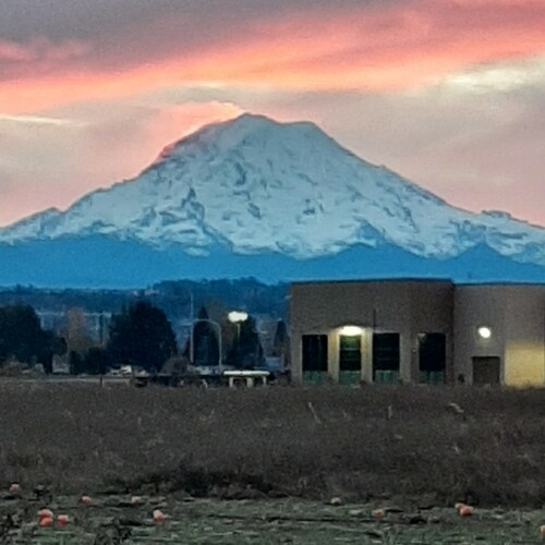 Common Sense. Free Thinking. Truth Seeking. 🇺🇲🇨🇦🇲🇽  USMC. Constitution. Allegiance to one Flag. NO TRAINS PLEASE
W...