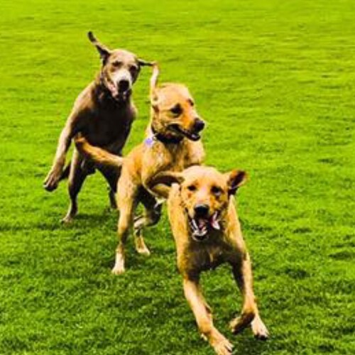 Christian | Patriot | Happily Married | 2A Supporter