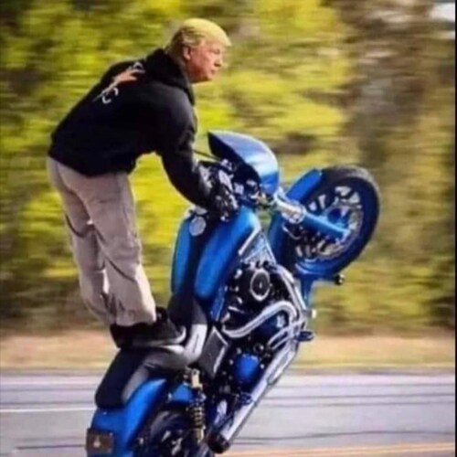 #MAGA, #1A, #2A, #AmericaFirst. Buy American, #TrumpWon.              🇺🇸God Bless America🇺🇸
Telegram @Harley_Dude
St...