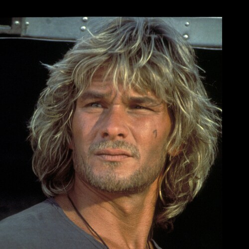 Refusenik, Pureblood, Weaponised autist and fake news slayer.