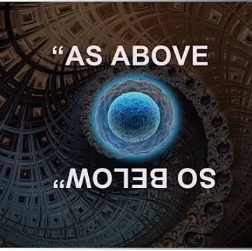 human
search term: 
Glycyrrhizin: An Old Weapon Against a Novel Coronavirus, onlinelibrarywiley