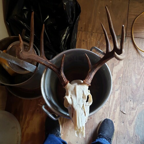 2AFOREVER, TRUMP SUPPORTER, DAD TO 2 GREAT DAUGHTER, POPPY TO 4 GREAT GRANDKIDS. PATRIOT FREE SPEECH FOR EVERY ONE. AND ...