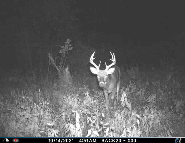 View Ob1jakobi's post on GETTR. Join the discussion, share your thoughts, and connect with the community.