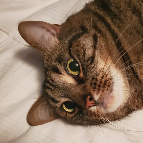 One step at a time. I am BACK!