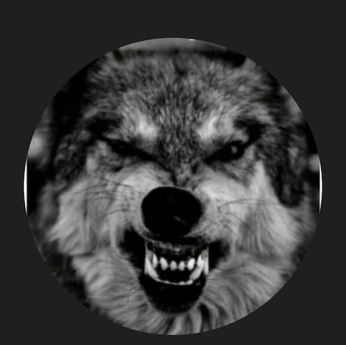 we got to stand side by side we got to stand together and organize.They say power to the people that's what they're scre...