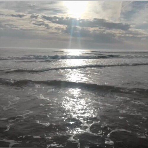 Visit Mattbunney77's profile on GETTR. View their posts, photos, videos, and connect with them on the social platform.