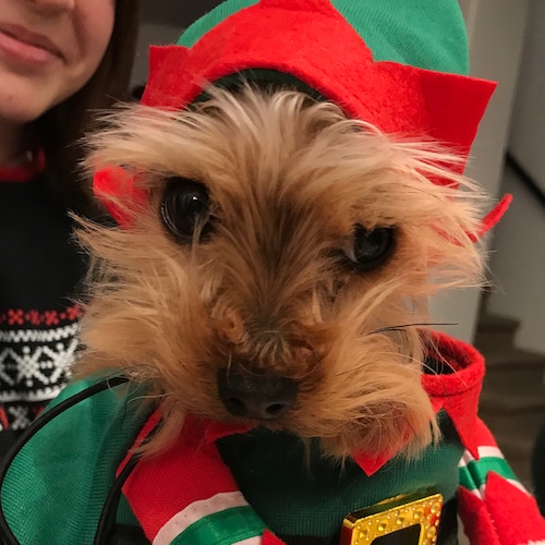 Father of 5, Papa of 2 and married to my best friend for over 40 years. Army 12th Infantry finely tuned BS detector, non...