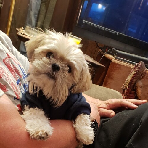 I am a Conservative Paraeducator live in NH I have been happily married for 41 years have 2 great kids and a baby dog I ...