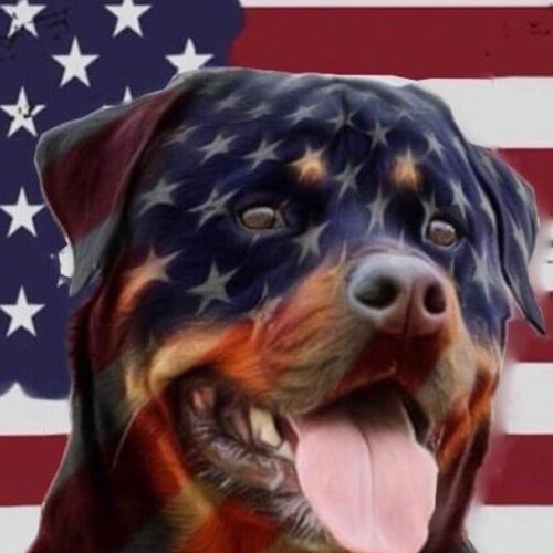 Visit patriot0761's profile on GETTR. View their posts, photos, videos, and connect with them on the social platform.