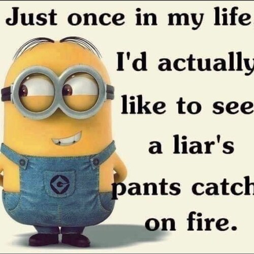 Conservative nurse. Texas Patriot