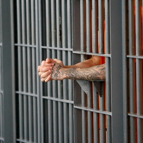 dedicated to sharing the Letters, Art and Family Stories of the Political Prisoners of Jan.6 2021