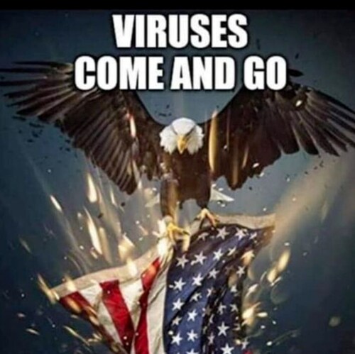 Proud American Patriot. 
Each Fact Is Truth 2 |#TRUMP2020 #WWG1WGA #WeAreTrump #PatriotsFight
#DigitalSoldiers | @x22rep...