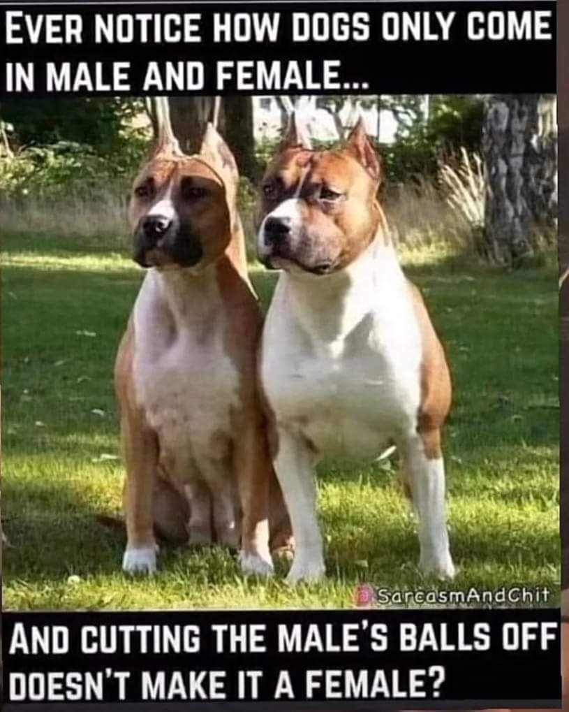 View jsngln's post on GETTR. Join the discussion, share your thoughts, and connect with the community.