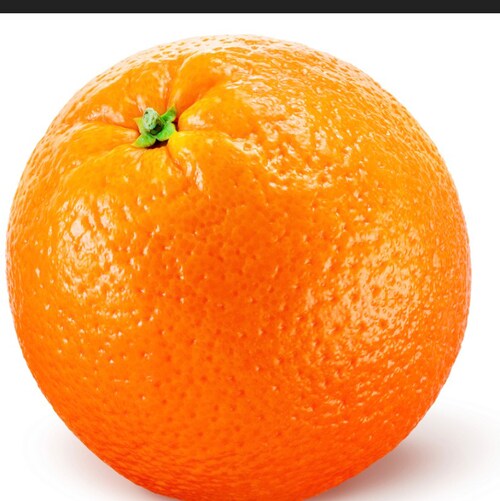 Patriot who loves God family and USA!