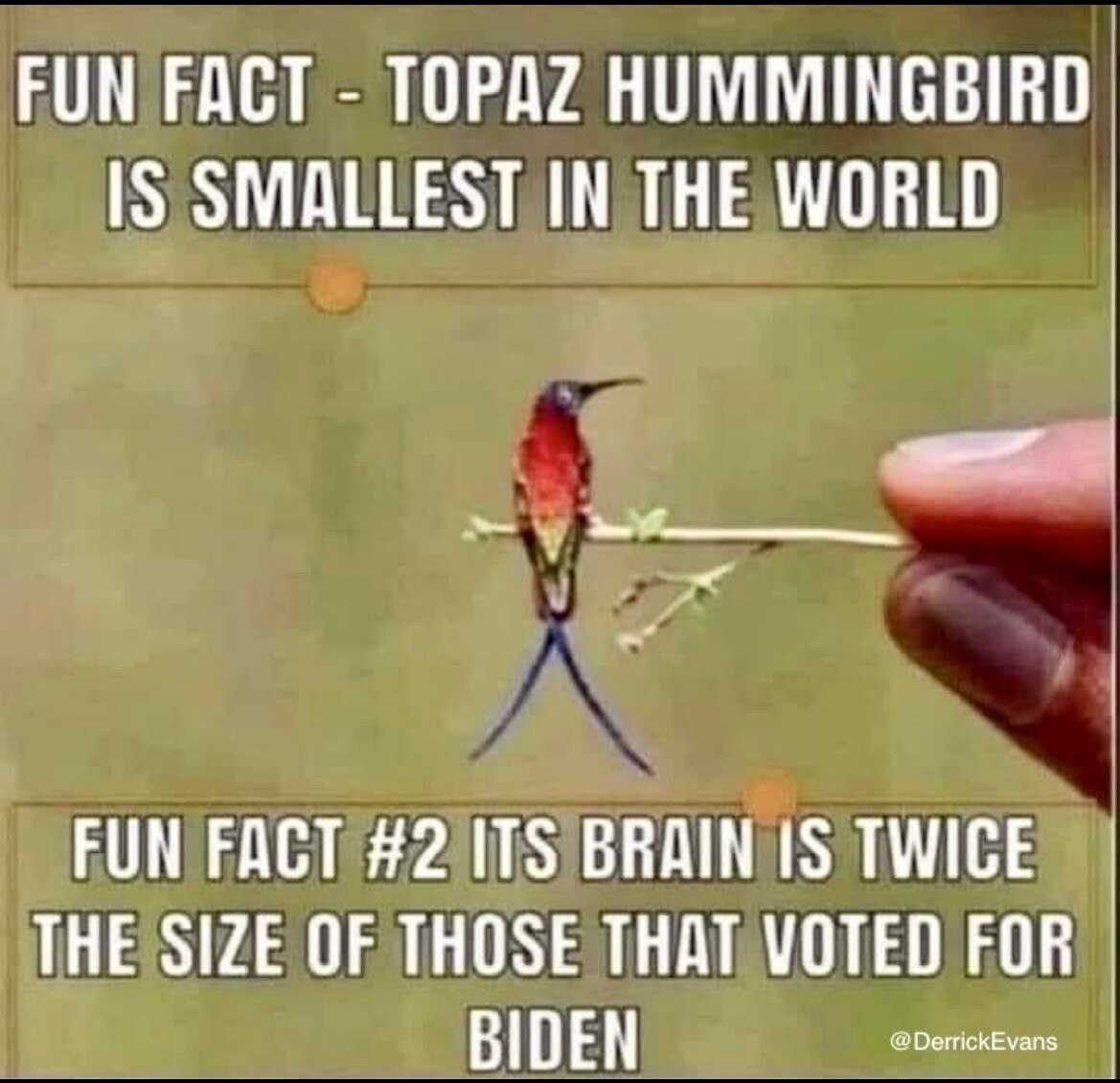 2000 MULES
🇺🇸MAGA🇺🇸🇺🇸🇺🇸🇺🇸🇺🇸🇺🇸🇺🇸