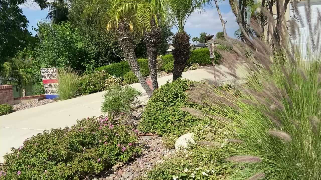 Beautiful day in Canyon Lake CA. 